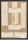Hantzschia elongata Grun. (de-Toni-Nr.: Genus 50, Species 2206) Zeichnungen Sammlung Grunow Nr. 4613 (NHMW-BOT-W0372654)
